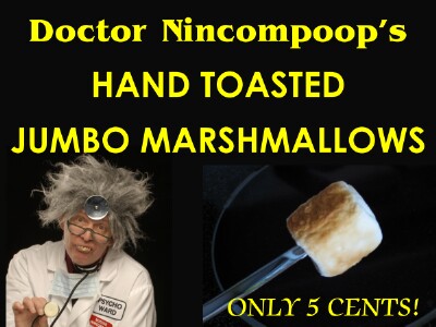 Dr. Nincompoop Sign